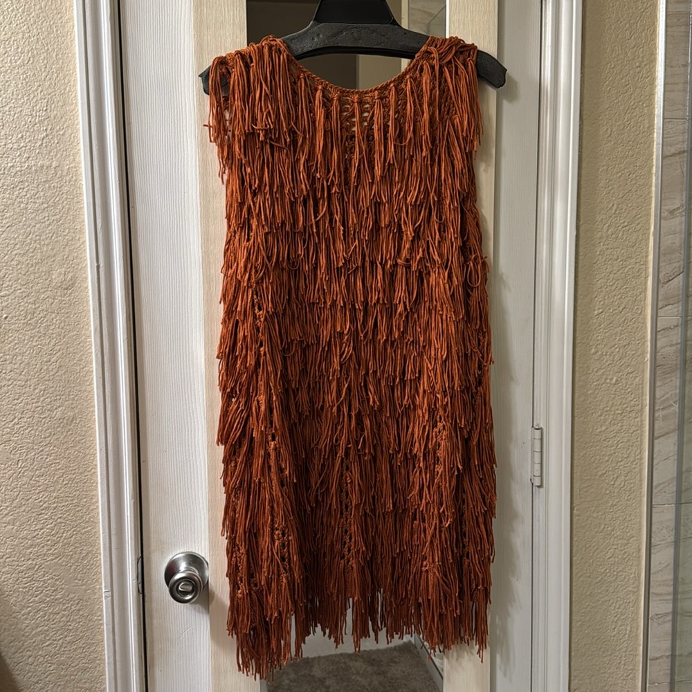 Women's PP LA clothing fringe vest SZ L
Rust Terracotta - Picture 6 of 6